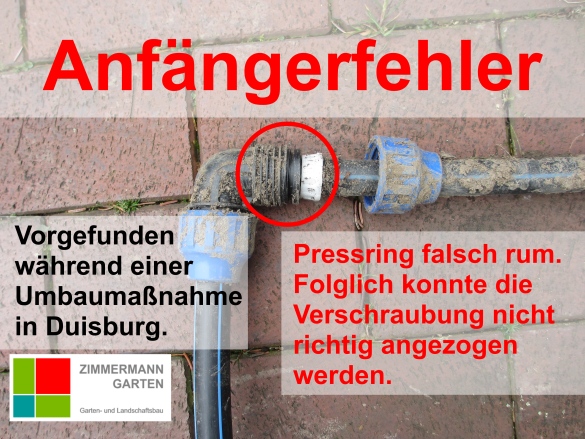 zimmermann-garten-bewässerung-Anfängerfehler zimmermann-garten-bewässerung-Anfängerfehler