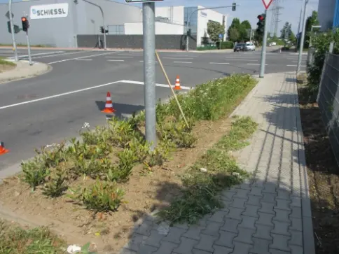 zimmermann-garten-siedlungsgrünpflege-öffentliches Grün