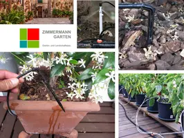 gartenbewässerung-meerbusch-microdrip gartenbewässerung-meerbusch-microdrip
