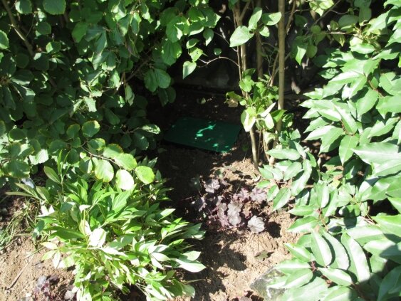 zimmermann-garten-gartenbewässerung-ventilbox-integrieren zimmermann-garten-gartenbewässerung-ventilbox-integrieren