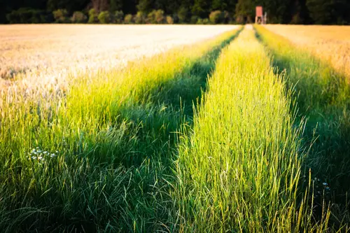 gartenbewaesserung-dormagen-500 gartenbewaesserung-dormagen-500