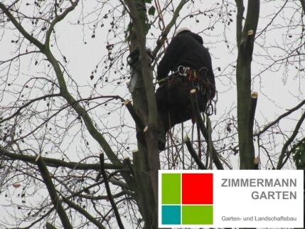 zimmermann-garten-baumpflege-hochwertiges Werkzeug zimmermann-garten-baumpflege-hochwertiges Werkzeug