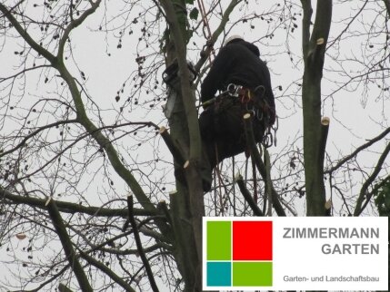 zimmermann-garten-baumpflege-hochwertiges Werkzeug